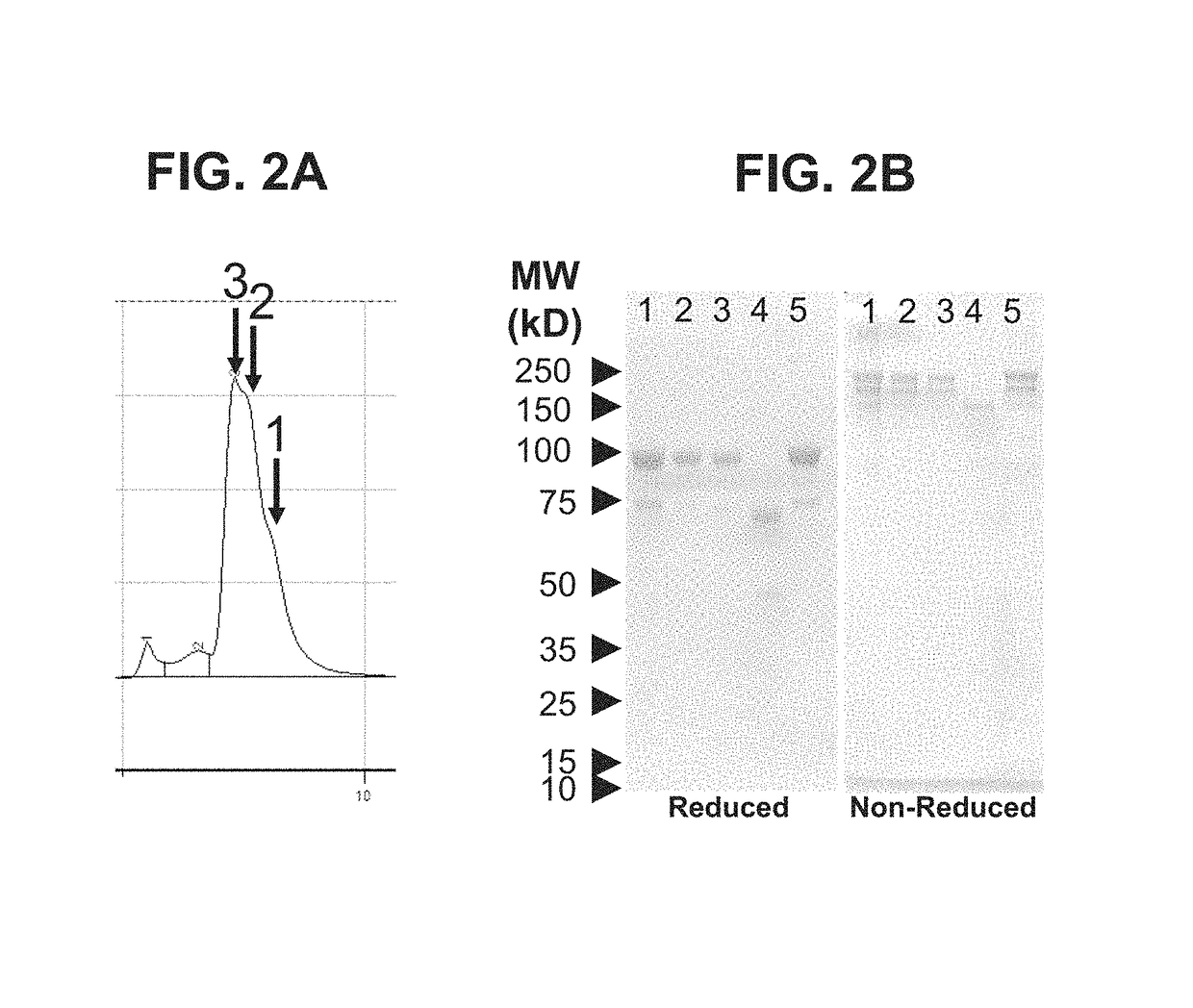 Compounds and methods for treating pain