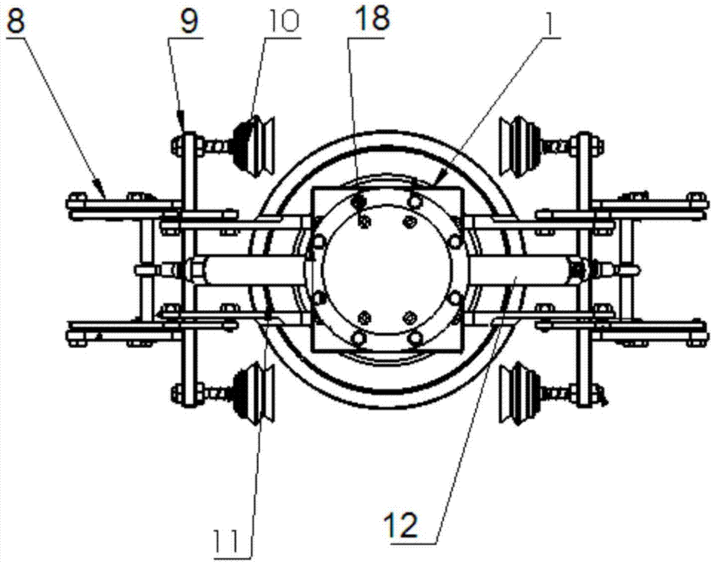 Self-adaptive carton gripper applicable to household appliances