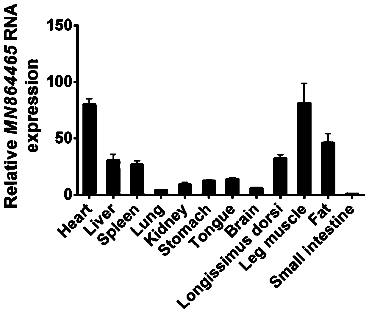 Method for increasing muscle mass of pigs