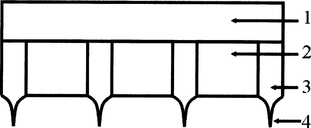 Microelectrode short-circuit-proof squeegee structure