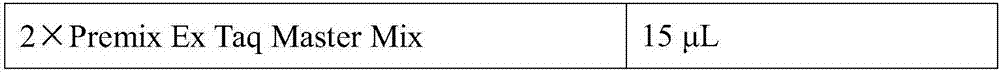 Primer and probe for detecting echinococcus multilocularis in canine feces, and kit of primer and probe