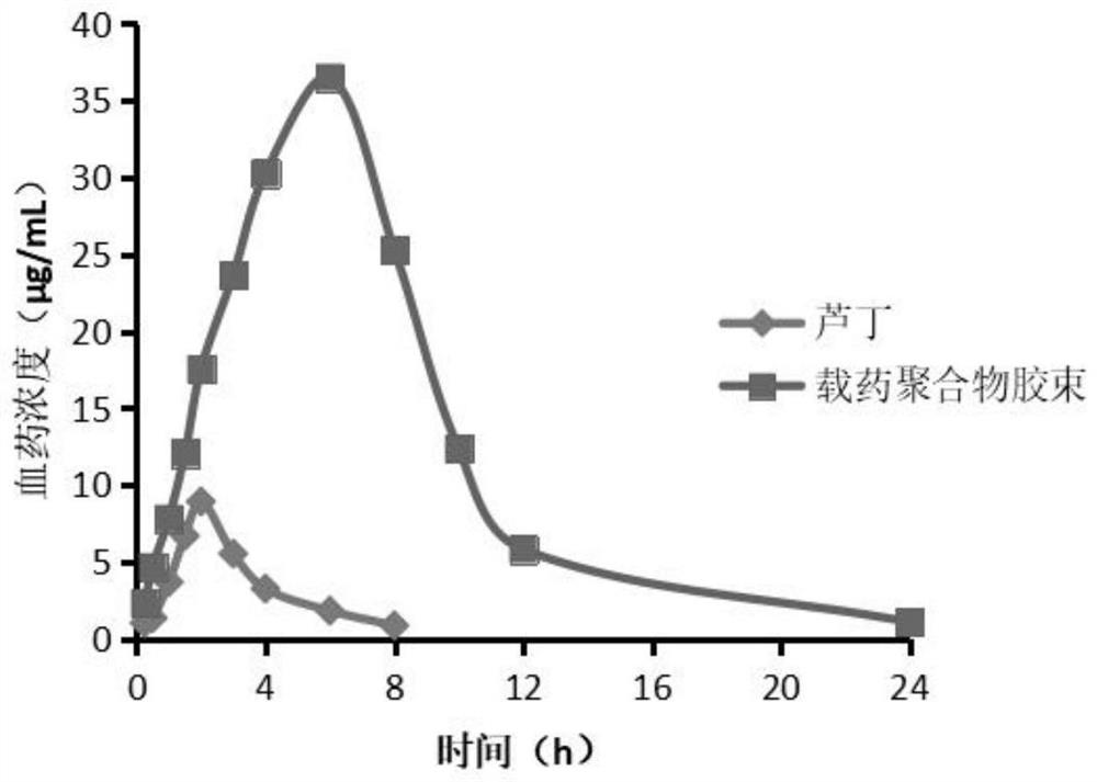 A kind of rutin-loaded polymer micelles and preparation method thereof