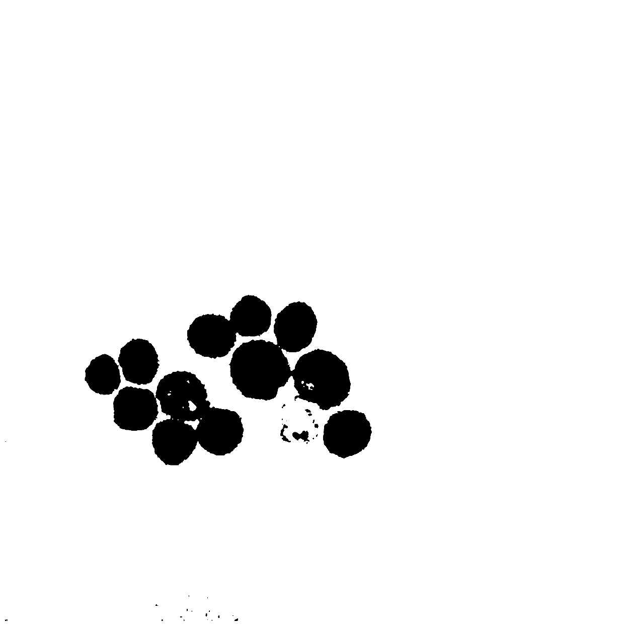 Saccharomyces cerevisiae strain and application thereof