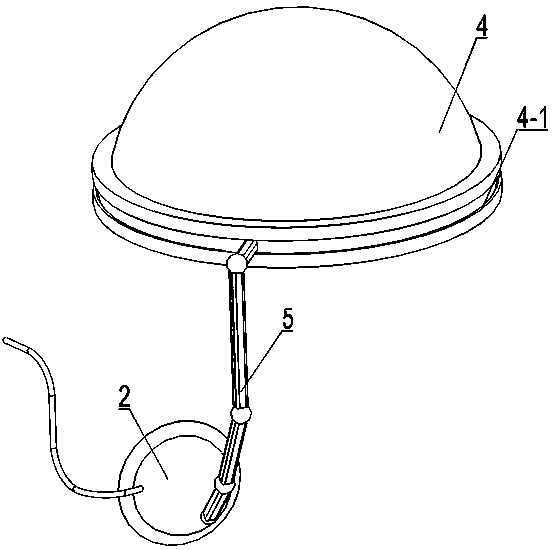 An intermittent negative pressure suction skin expansion device and its application method