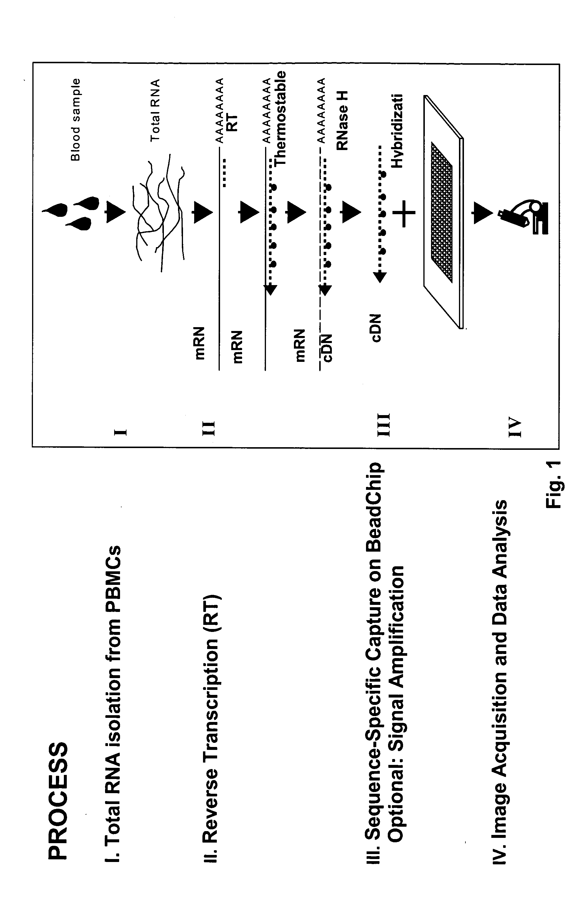 Optimization of gene expression analysis using immobilized capture probes