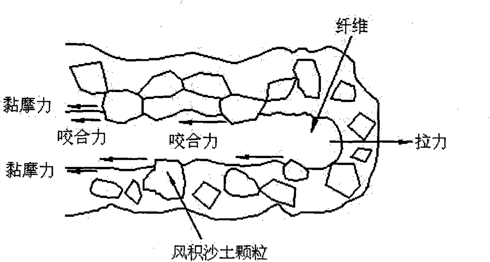 Method for reinforcing aeolian sandy soil by polypropylene fibers