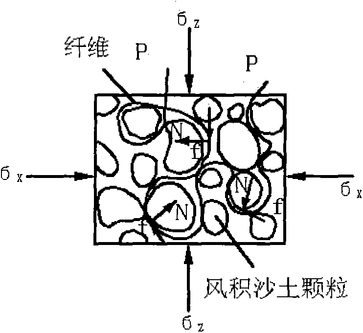 Method for reinforcing aeolian sandy soil by polypropylene fibers