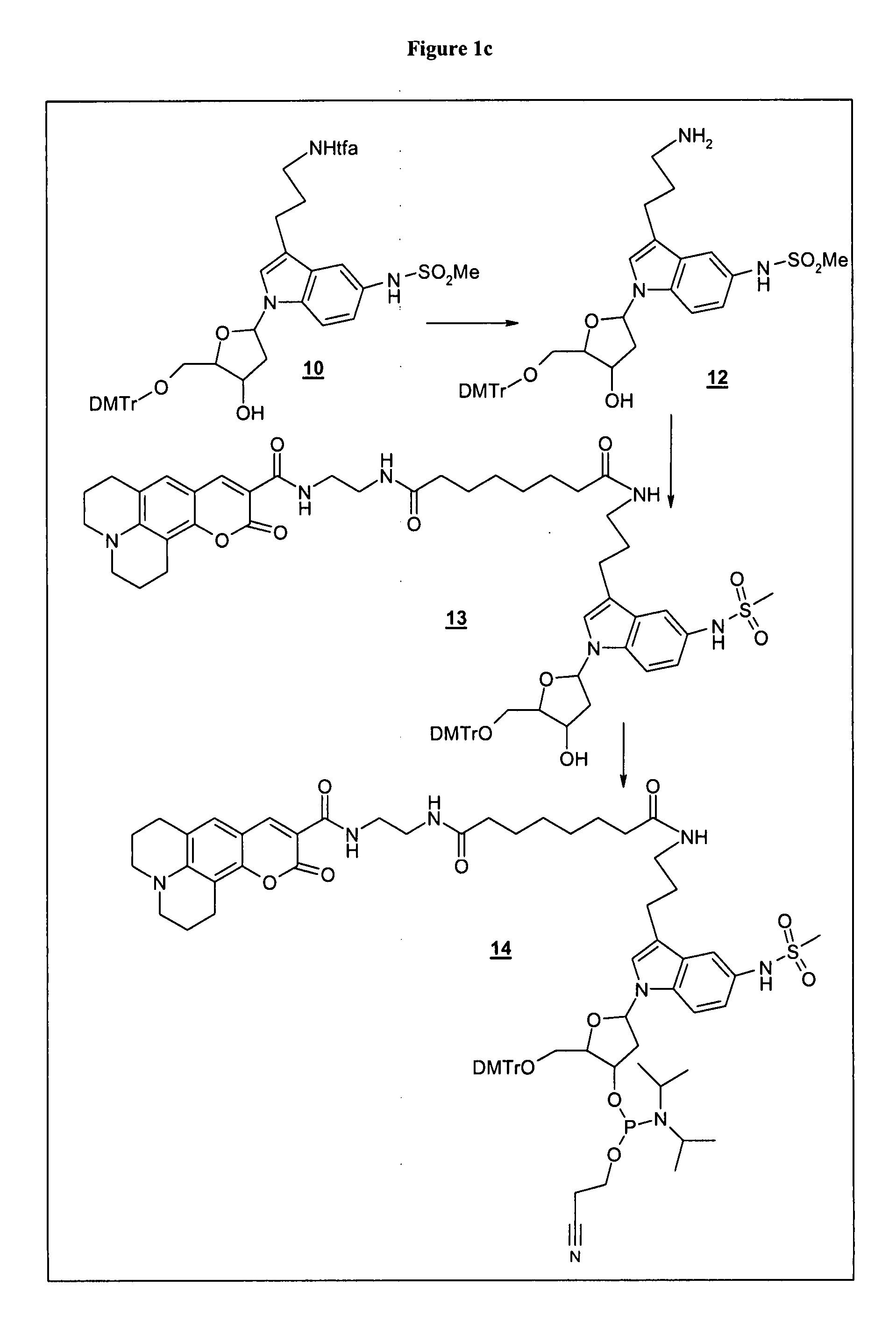 Labeling reagent