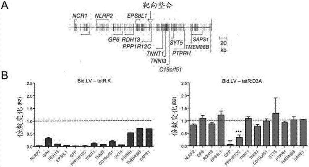 Permanent epigenetic gene silencing