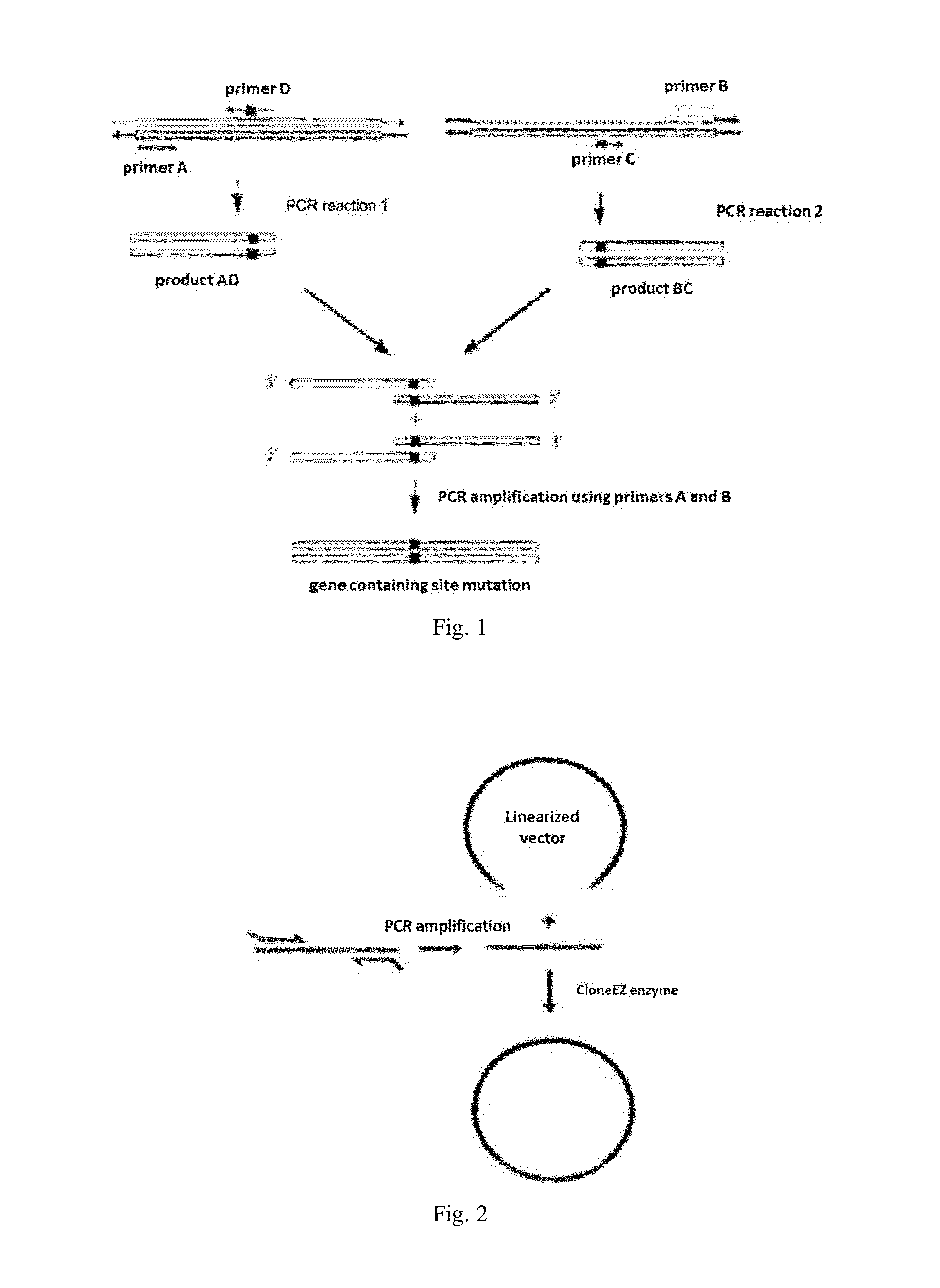 Light-Switchable Gene Expression System and the Methods for Controlling Gene Expression in Prokaryotic Bacterium