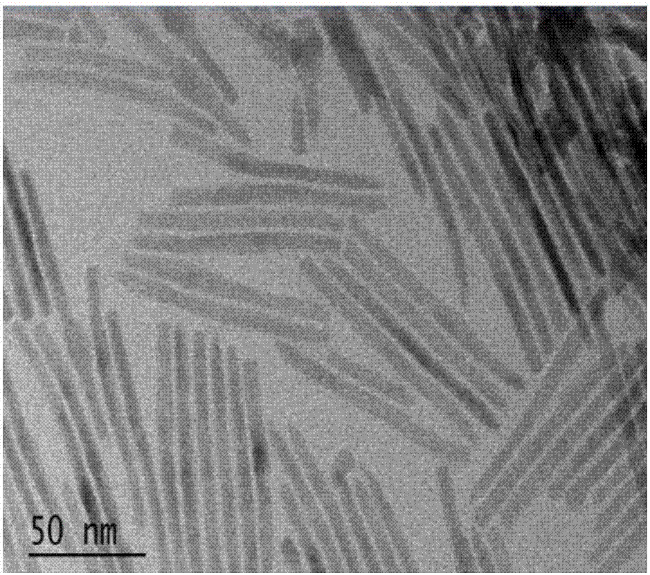 Preparation method of fluorescent polarizing film based on directional arrangement of quantum rods