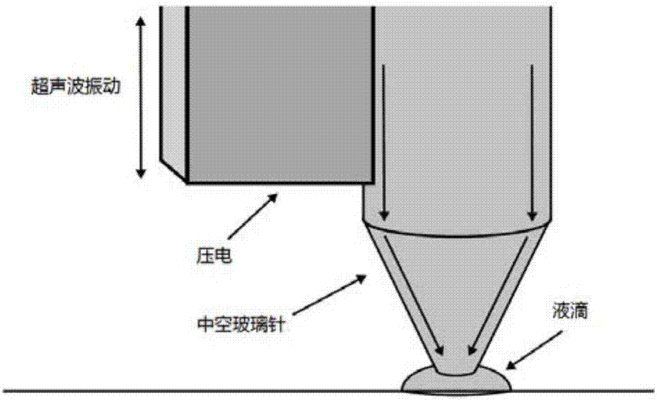 Preparation method of fluorescent polarizing film based on directional arrangement of quantum rods