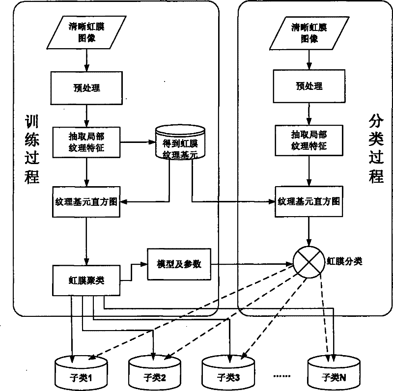 Iris classification method based on texture primitive statistical characteristic analysis