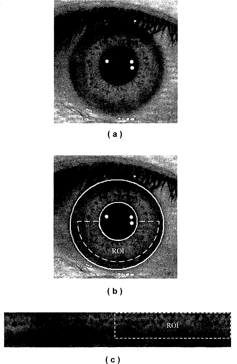 Iris classification method based on texture primitive statistical characteristic analysis