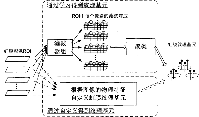 Iris classification method based on texture primitive statistical characteristic analysis