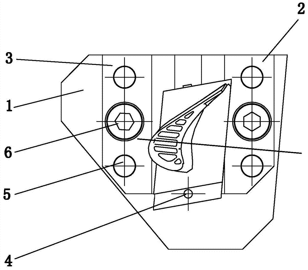 A radiographic detection and positioning device for large-curvature hollow blades