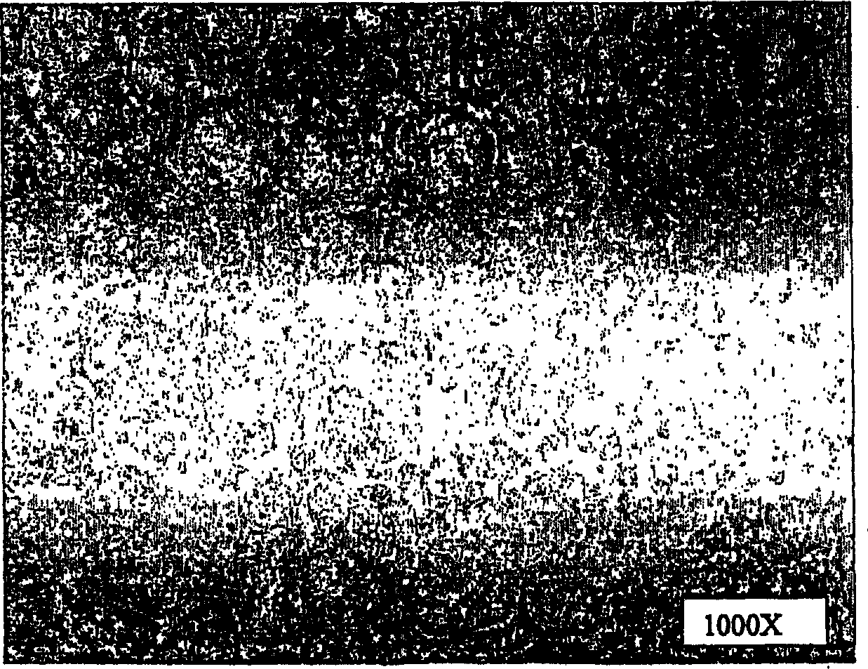 Corrosion and wear resistant alloy