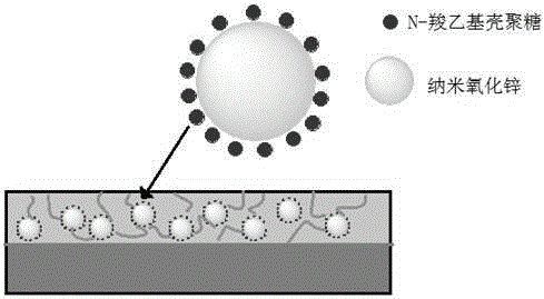 Preparation method for aqueous anticorrosion coating