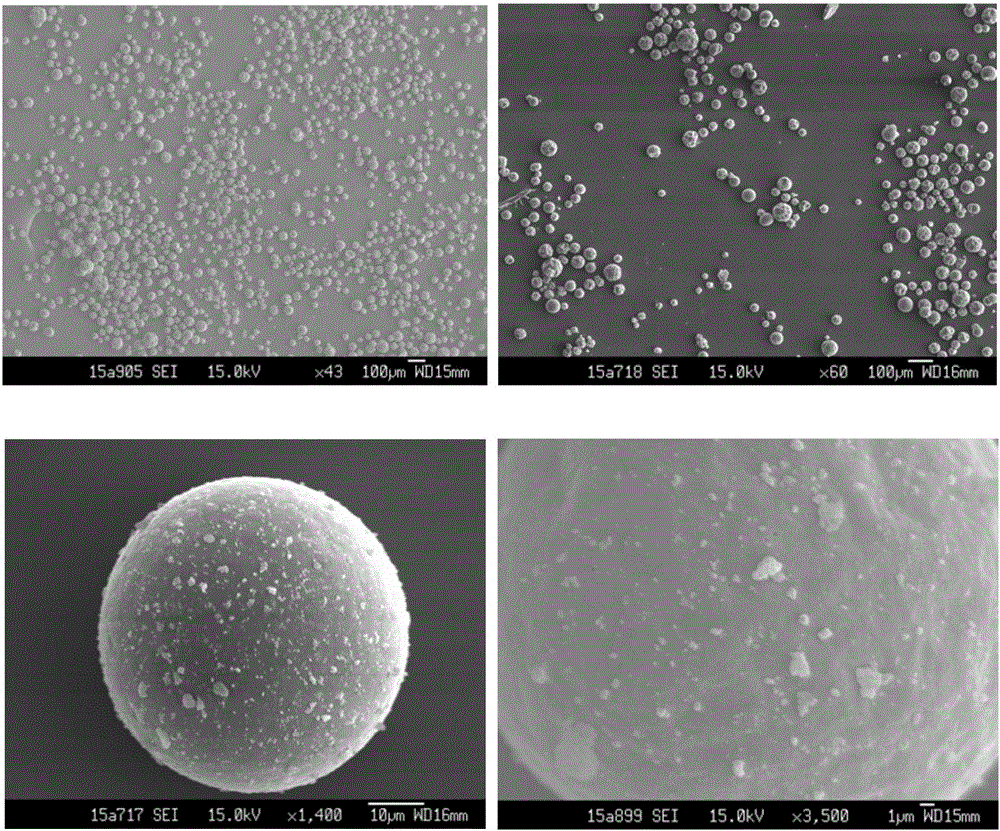 Spice nano-microcapsule and preparation method thereof