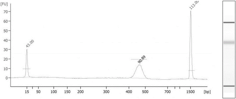 Preparation method of genome mixing sequencing library