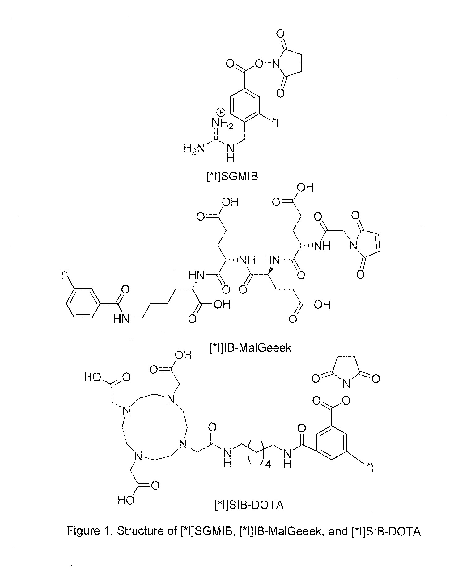 Prosthetic Compounds for Labeling Internalizing Biomolecules