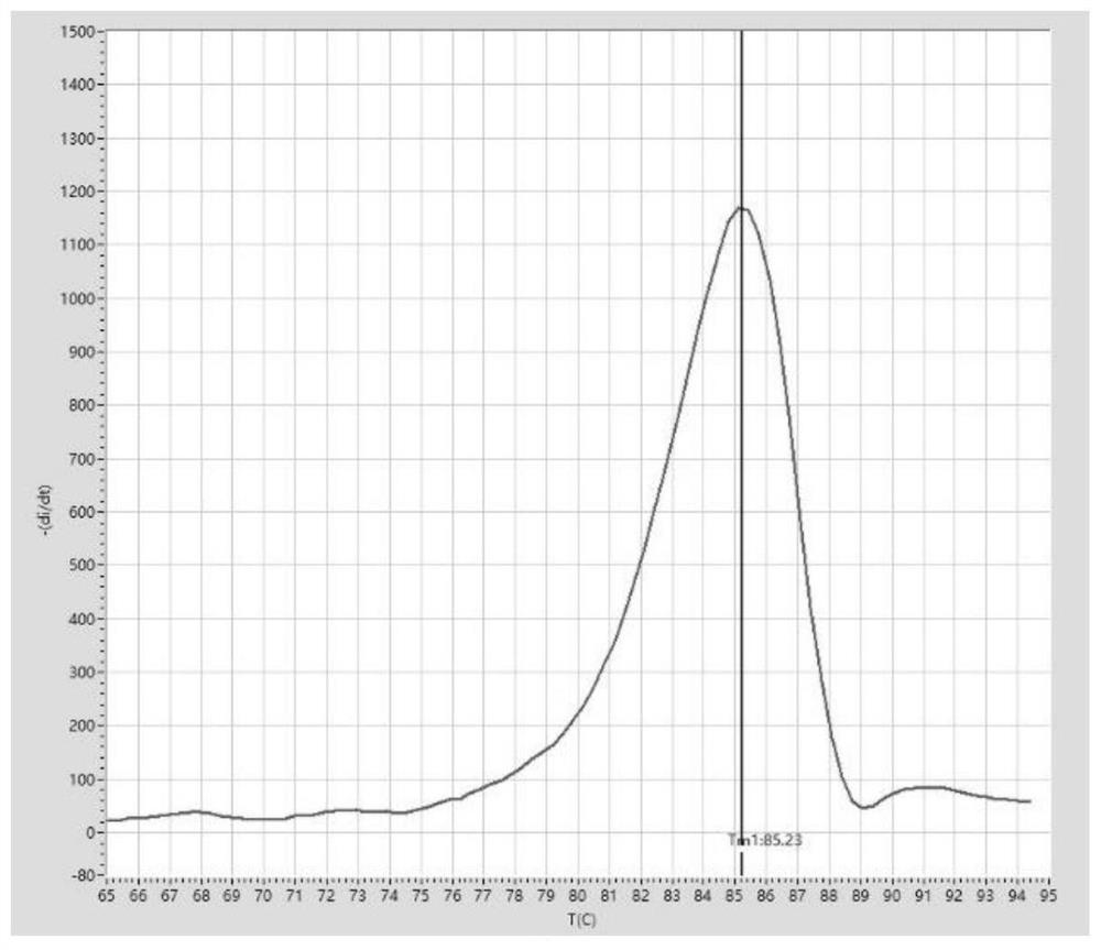 Multiple nucleic acid detection method, combination and kit