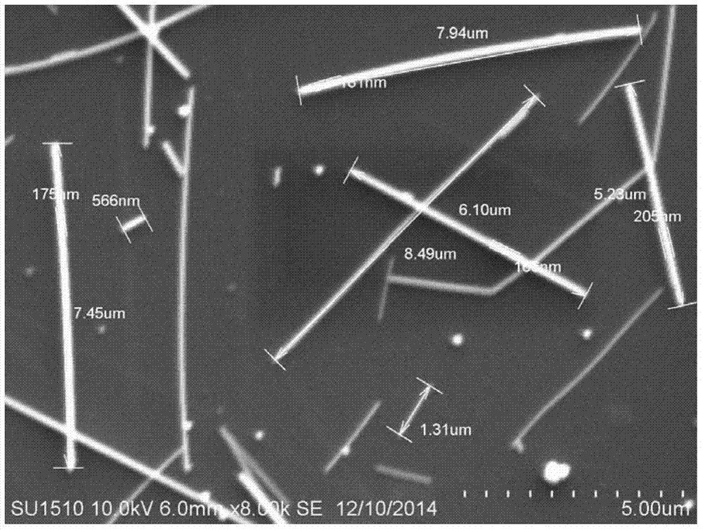 Silver nanorod and preparing method thereof