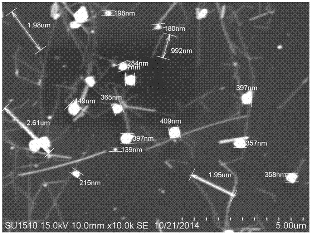 Silver nanorod and preparing method thereof