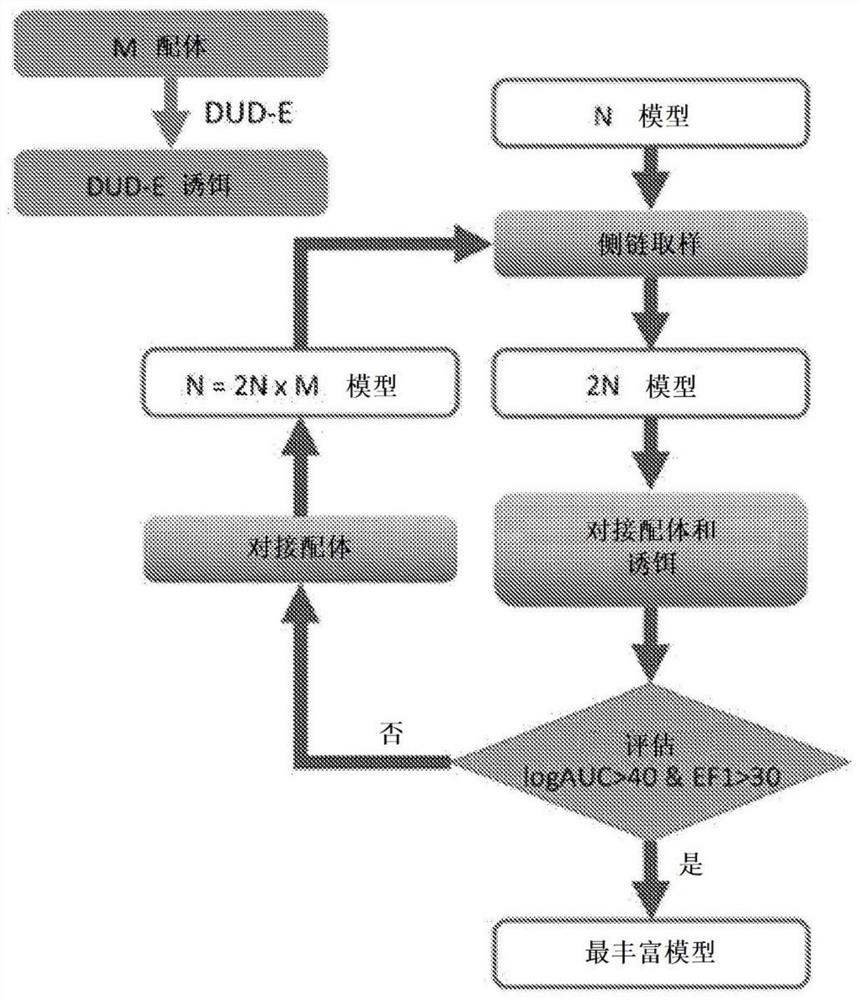 Heterocyclic compounds as modulators of beta-catenin/TCF4 interaction