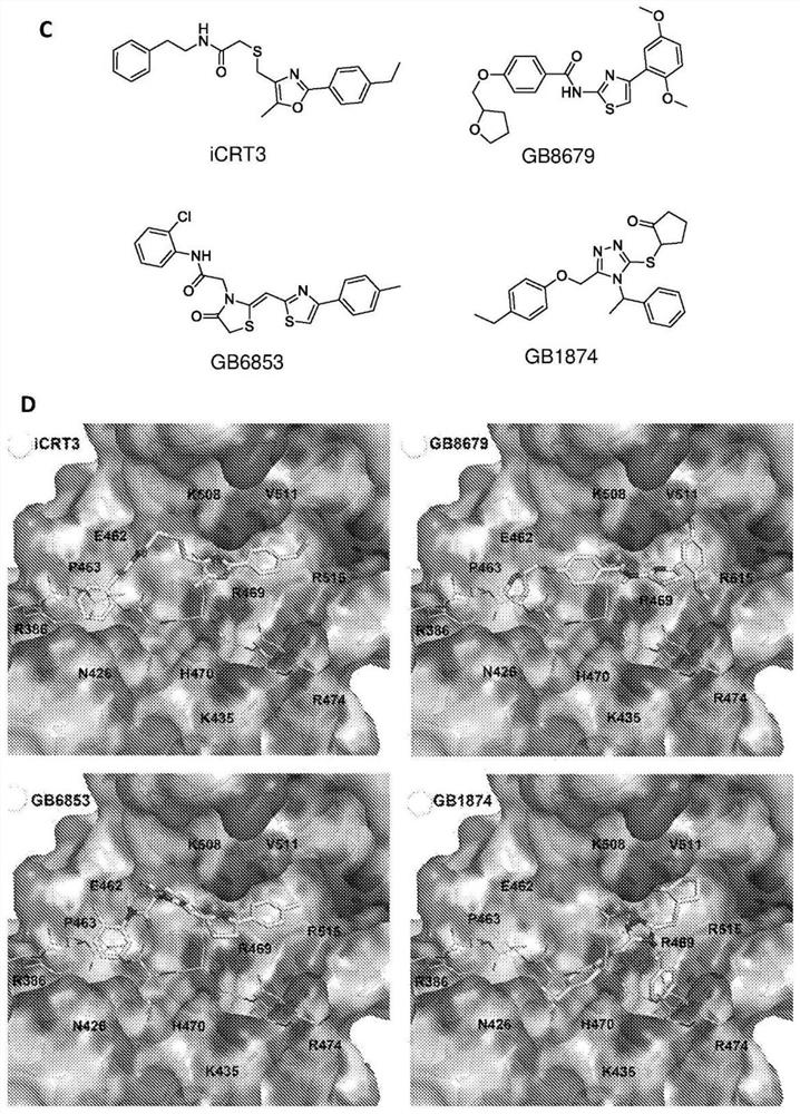 Heterocyclic compounds as modulators of beta-catenin/TCF4 interaction