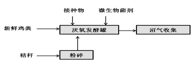 Method for performing quick anaerobic fermentation on chicken manure by supplying carbon source by using straws