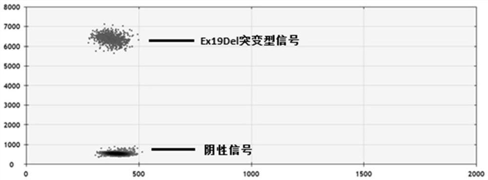 Digital PCR kit for detecting human EGFR gene mutation