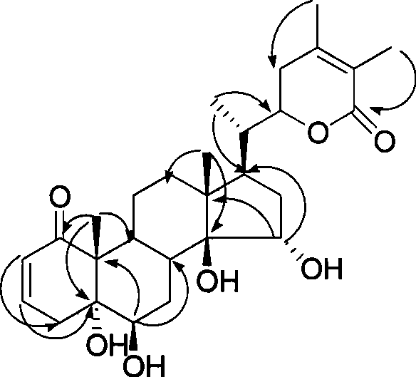 Immunosuppressant containing Withanolide type compound