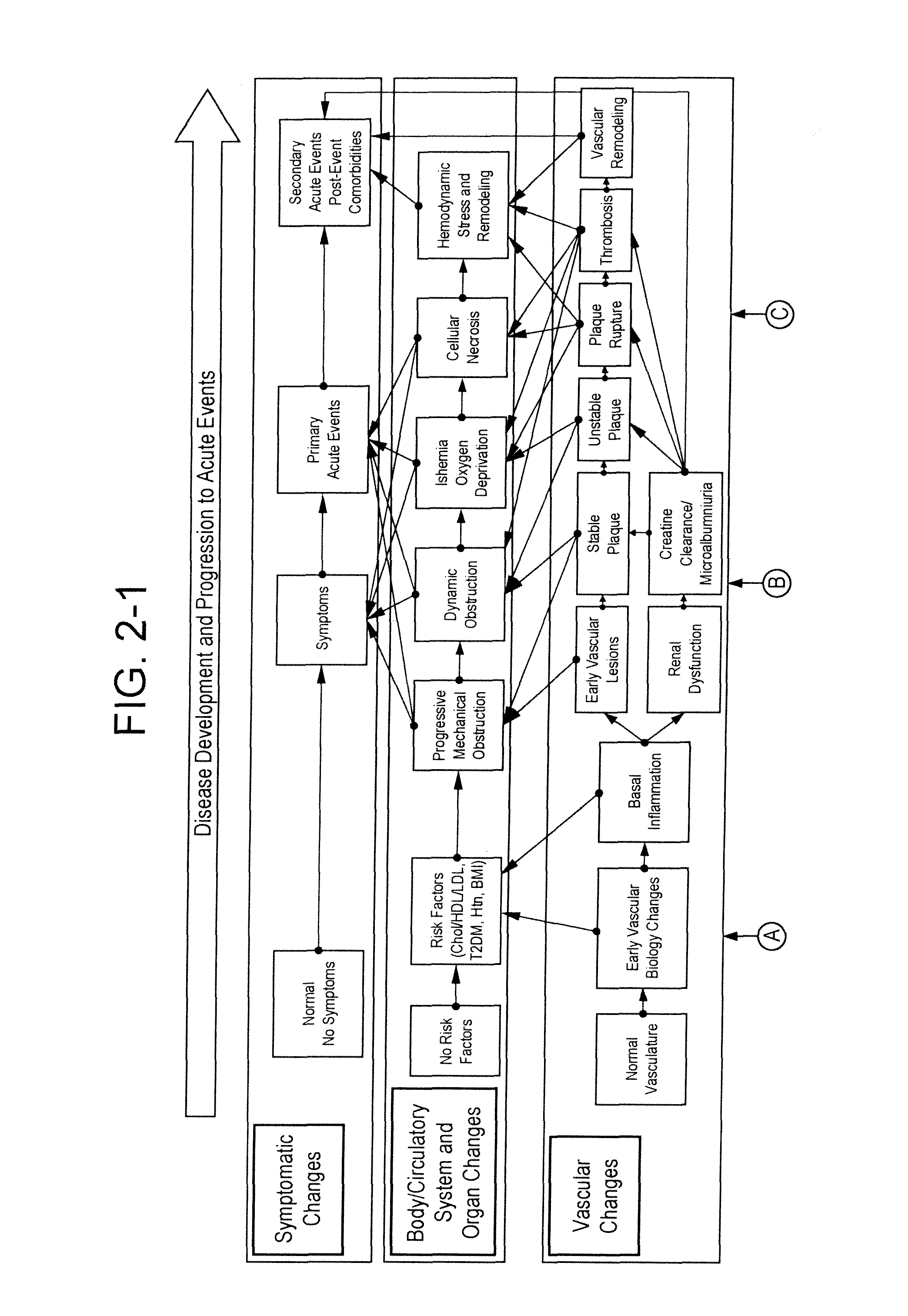 Markers Associate with Arteriovascular Events and Methods of Use Thereof