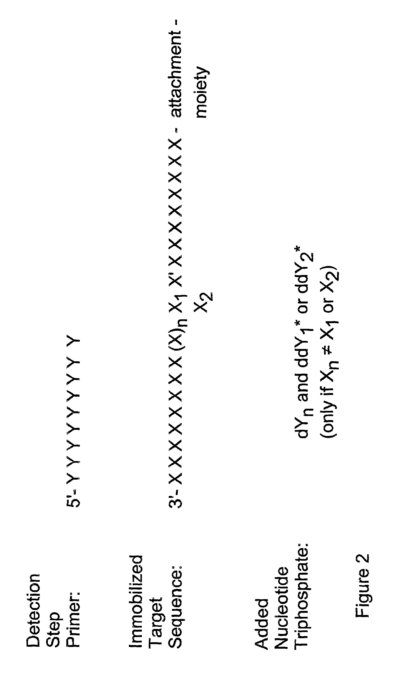 Method for determining specific nucleotide variations