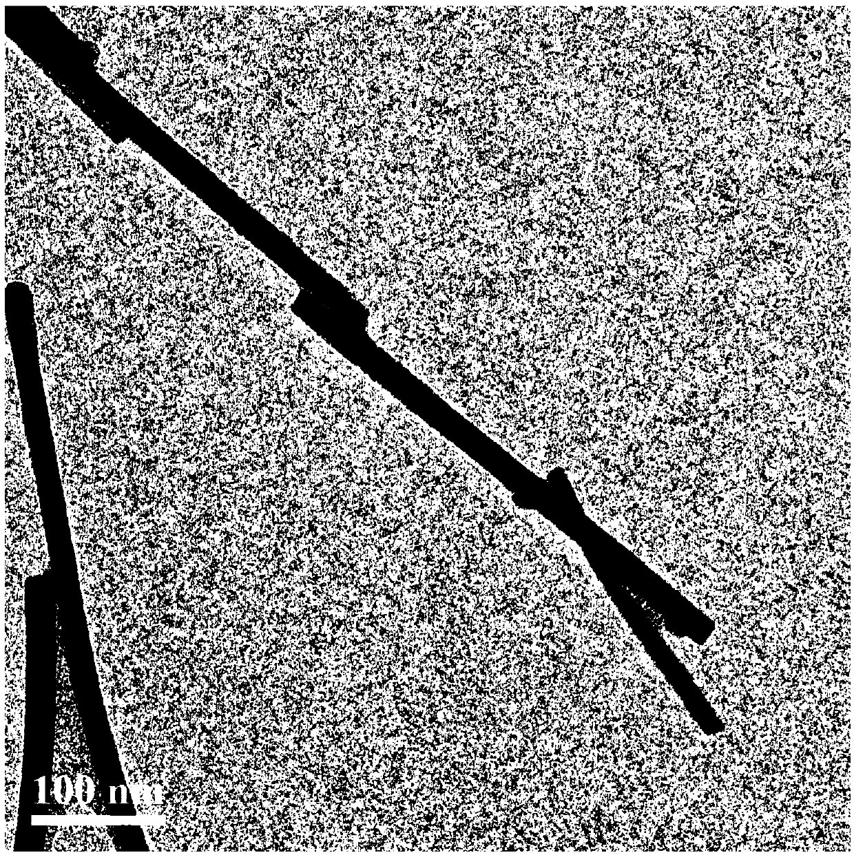 Preparation method and application of amorphous cobalt borate nanorod efficient oxygen evolution electrocatalyst