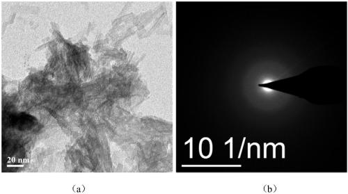 Preparation method and application of amorphous cobalt borate nanorod efficient oxygen evolution electrocatalyst