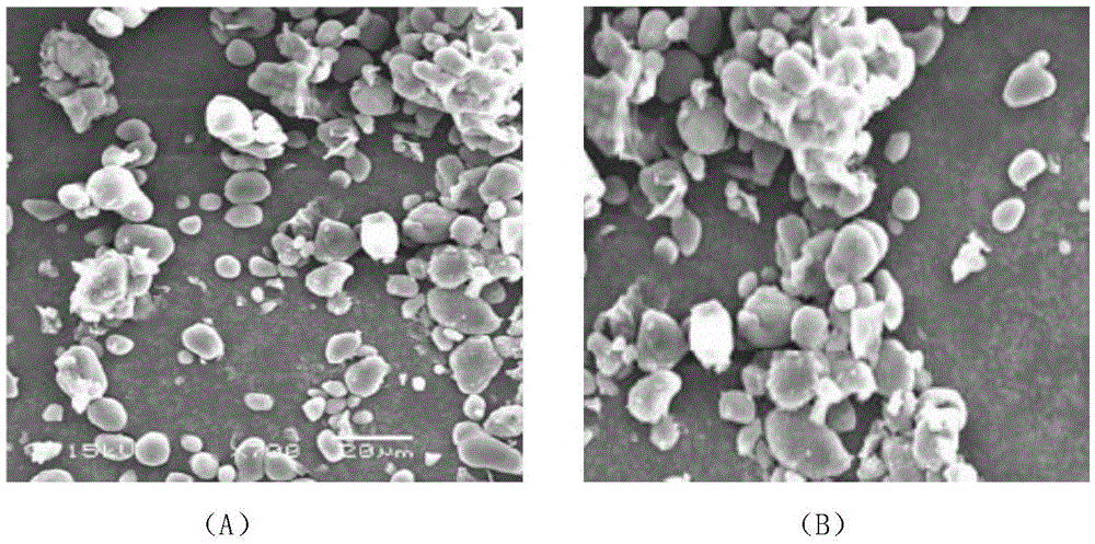 Acorn starch and preparation method thereof