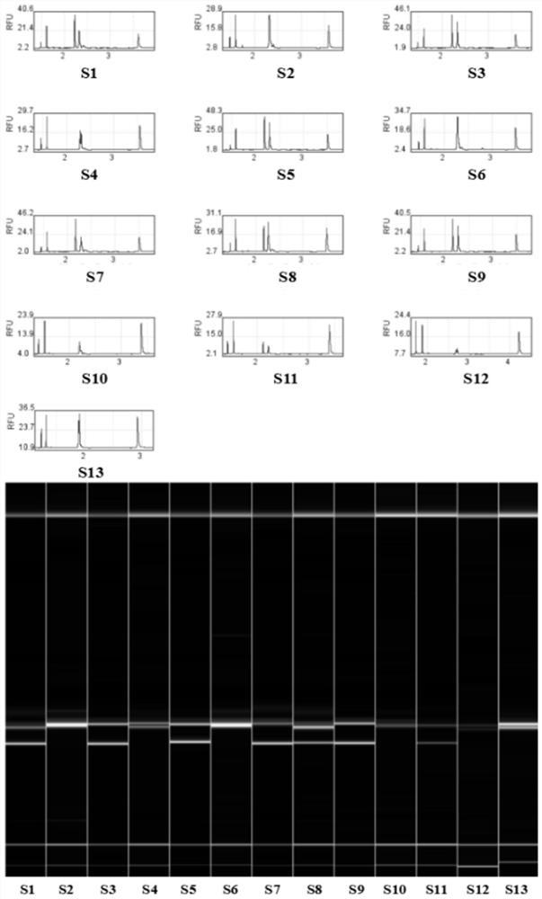 A method for constructing Torreya est-ssr primer and variety fingerprint