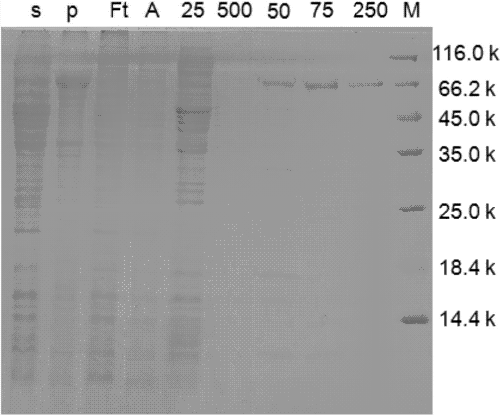 Recombinant nitrite reductase and construction method thereof