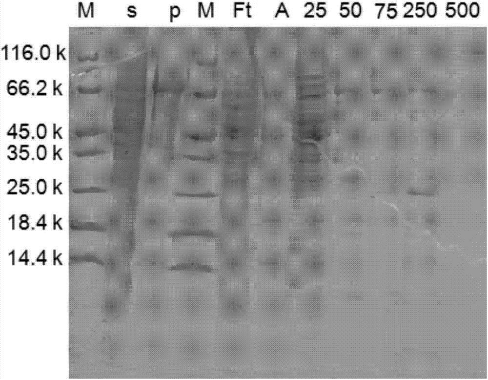 Recombinant nitrite reductase and construction method thereof