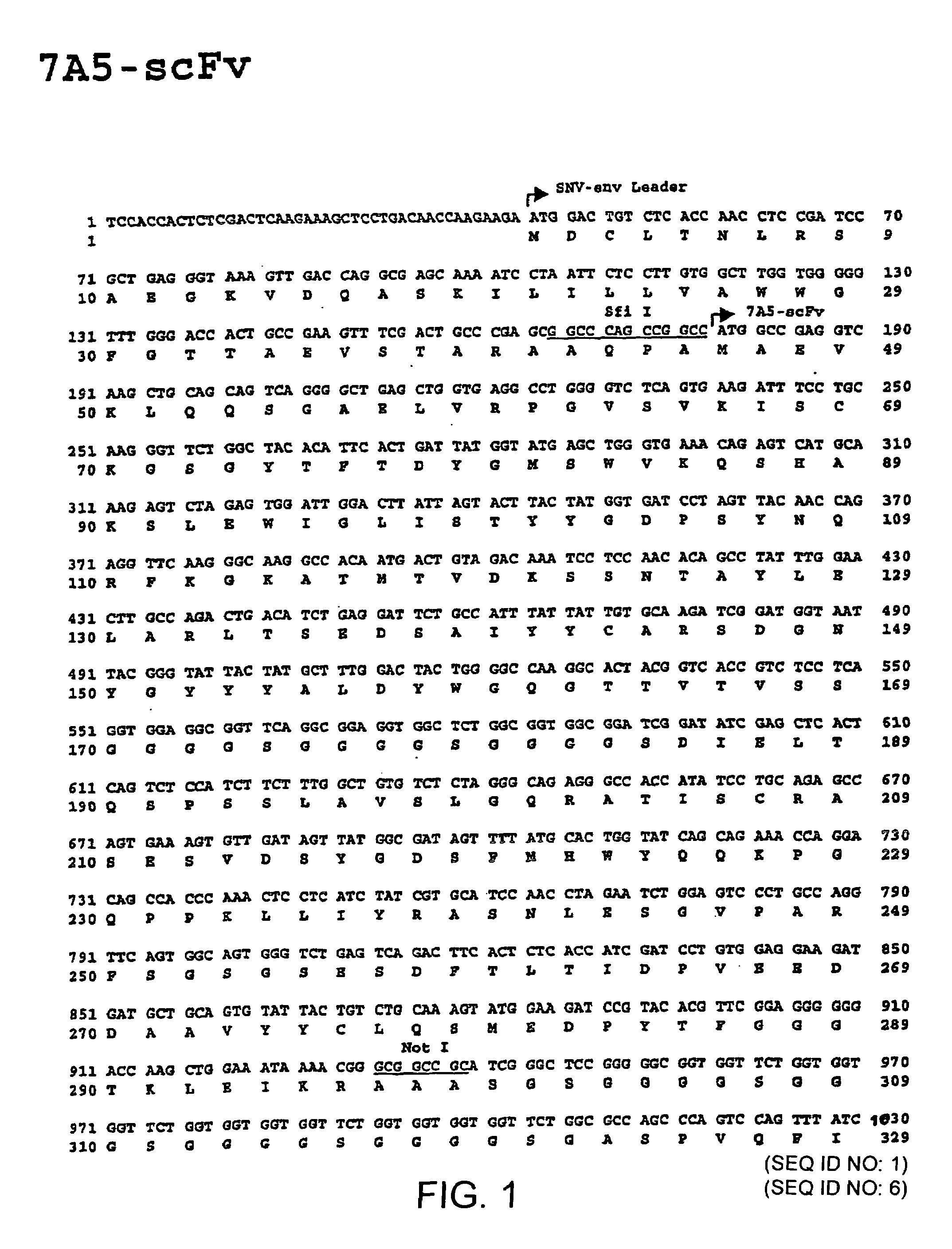 Gene transfer in human lymphocytes using retroviral scFv cell targeting