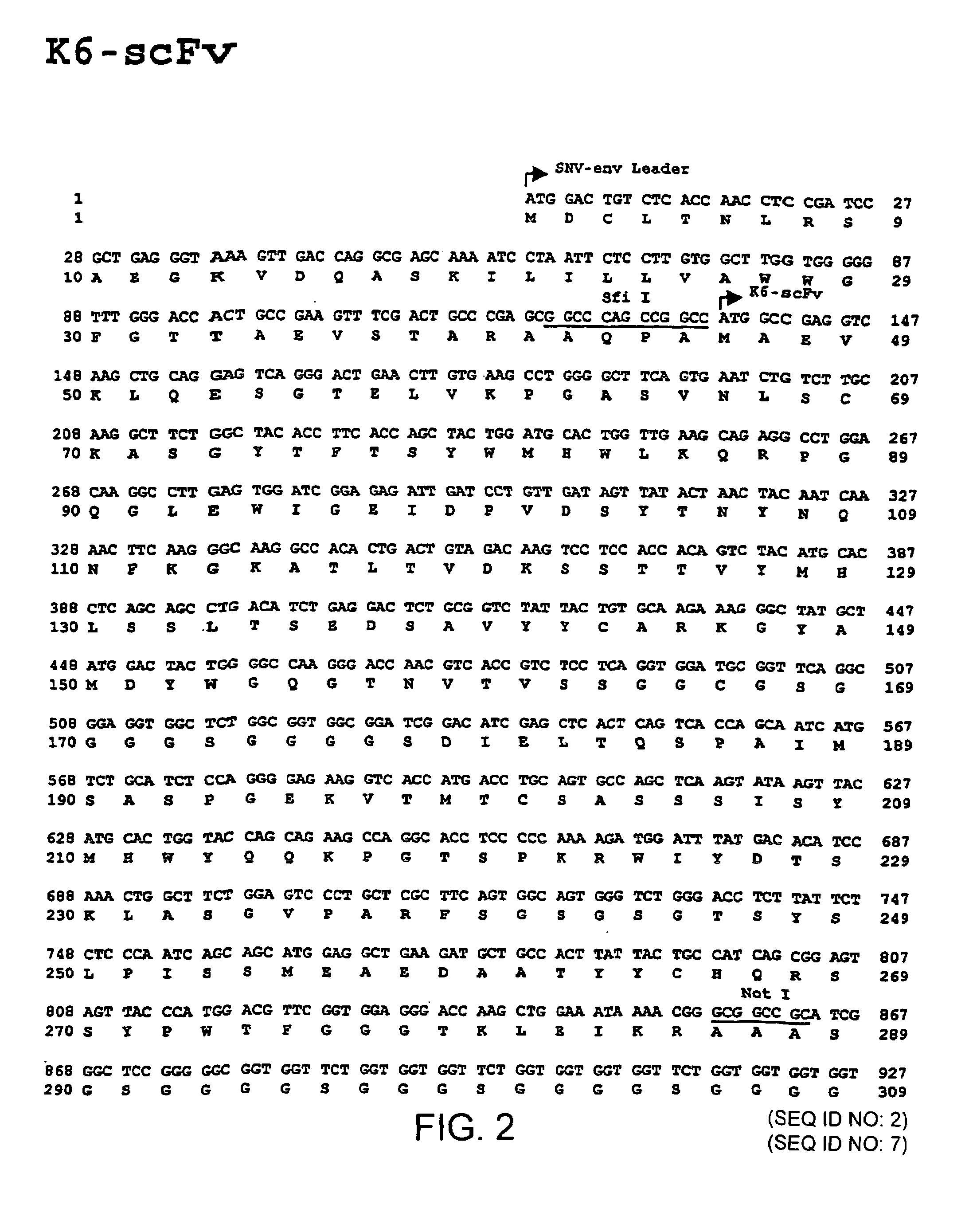 Gene transfer in human lymphocytes using retroviral scFv cell targeting