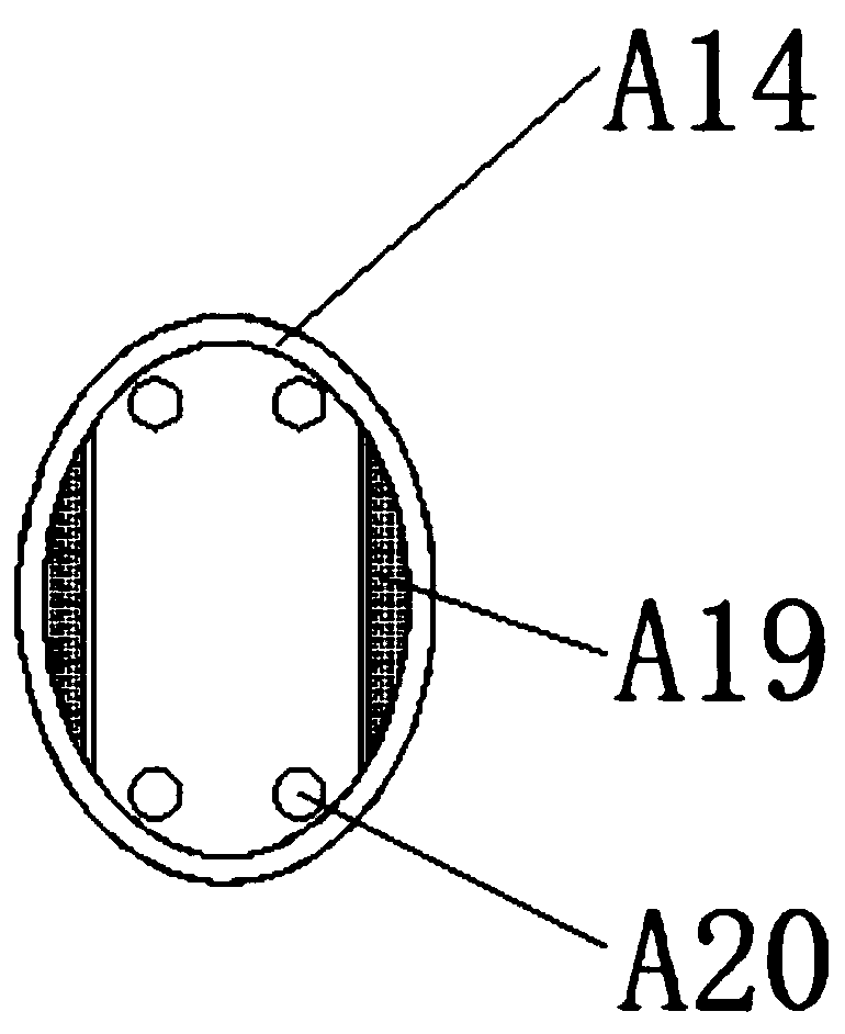 B-ultrasound probe with isolation hood for internal medicine inspection