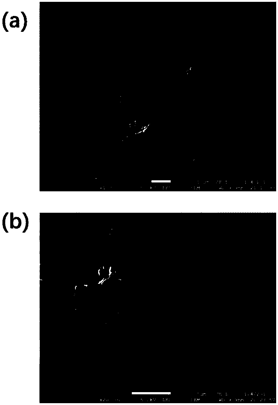 MoS2/nitrogen-doped carbon tube composite material and preparation method and application thereof