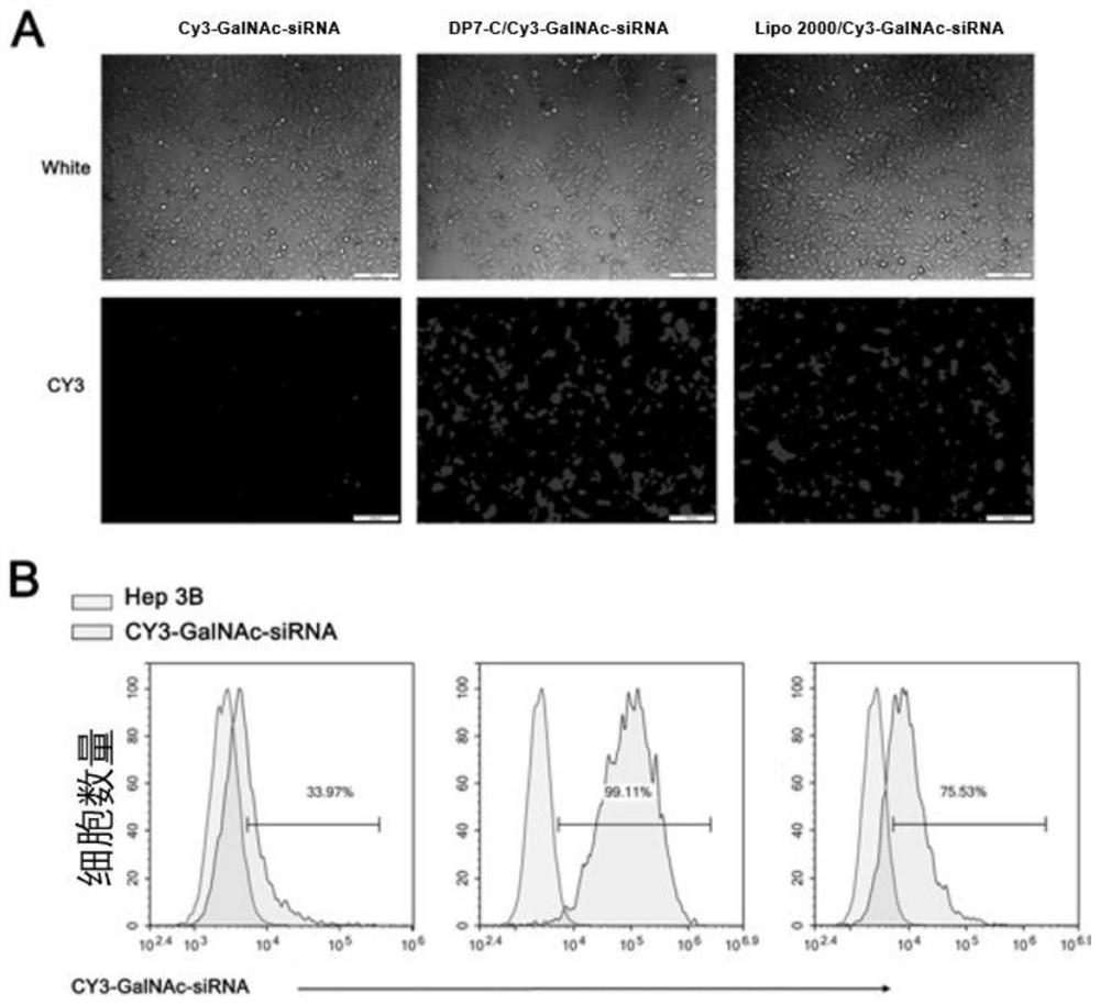 Liver targeting small nucleic acid drug sustained-release delivery system and application thereof