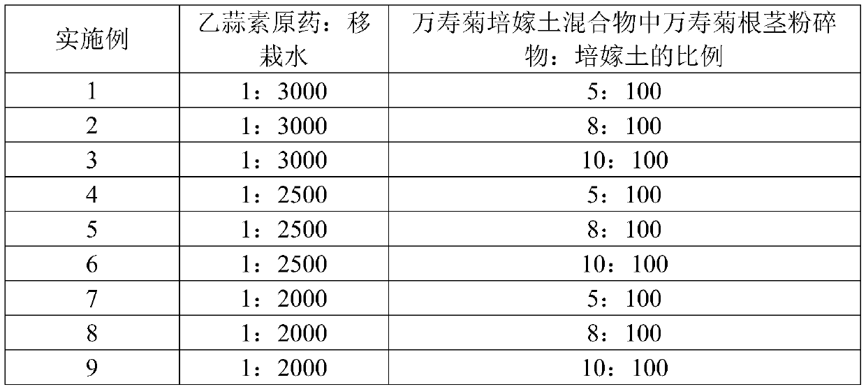 A field planting method for preventing and treating tobacco bacterial wilt