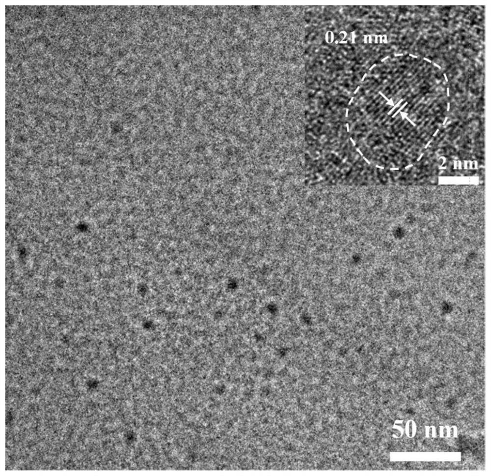 Red light emitting carbon nanodot and preparation method and application thereof