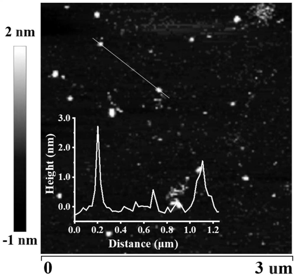 Red light emitting carbon nanodot and preparation method and application thereof