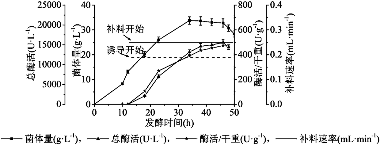 Production and purification method of glucose dehydrogenase by taking FAD (Flavin Adenine Dinucleotide) as prothetic group